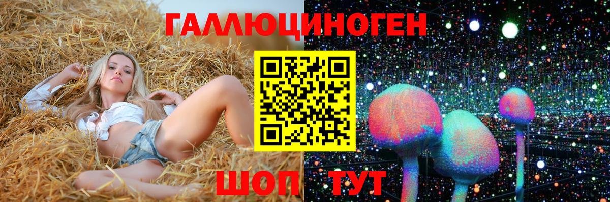 Псилоцибиновые грибы прущие грибы Саратов